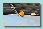 30_Banana Countdown Day 1